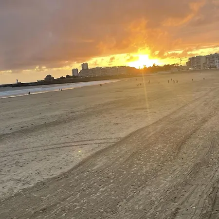 Le Patio De La Tour ! 1 Avec Sauna Prive Sur Le Remblai *