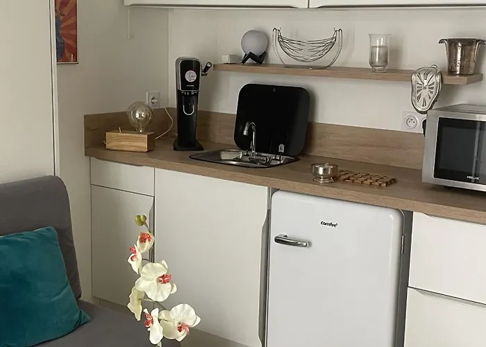 Le Patio De La Tour ! 1 Avec Sauna Prive Sur Le Remblai